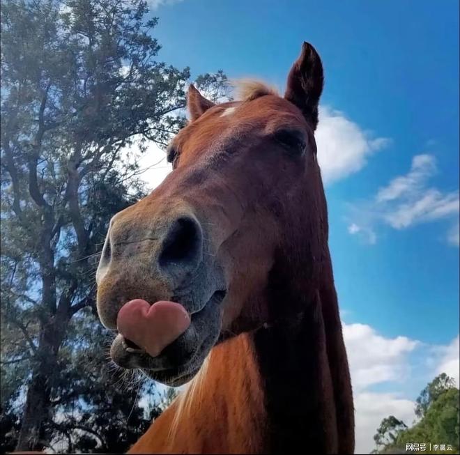 日常糗事欢乐多：5则新鲜搞笑段子