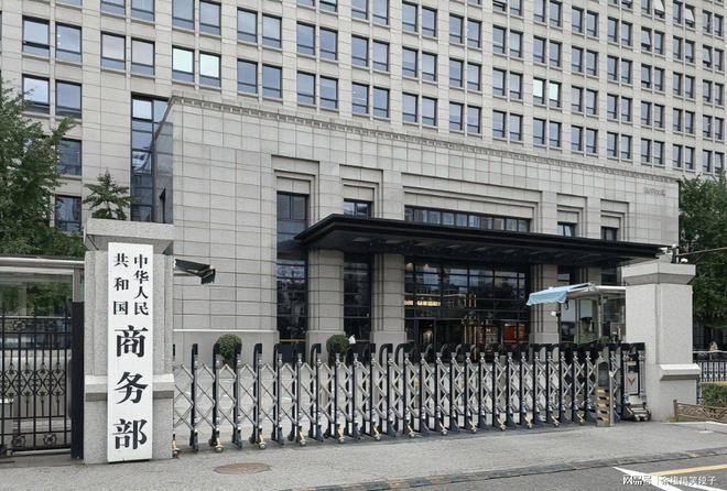 特朗普对中国关税还未生效就着急启动了全球关键矿产囤积行动！(图6)