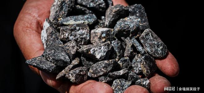 “明抢”中企第10天荷兰扛不住了喊话中国：大家坐下来谈谈(图6)