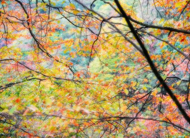 秋日美景中国红叶第一山在四川它是国家5A景区眼下美到封神！