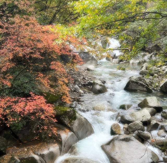 秋日美景中国红叶第一山在四川它是国家5A景区眼下美到封神！(图3)