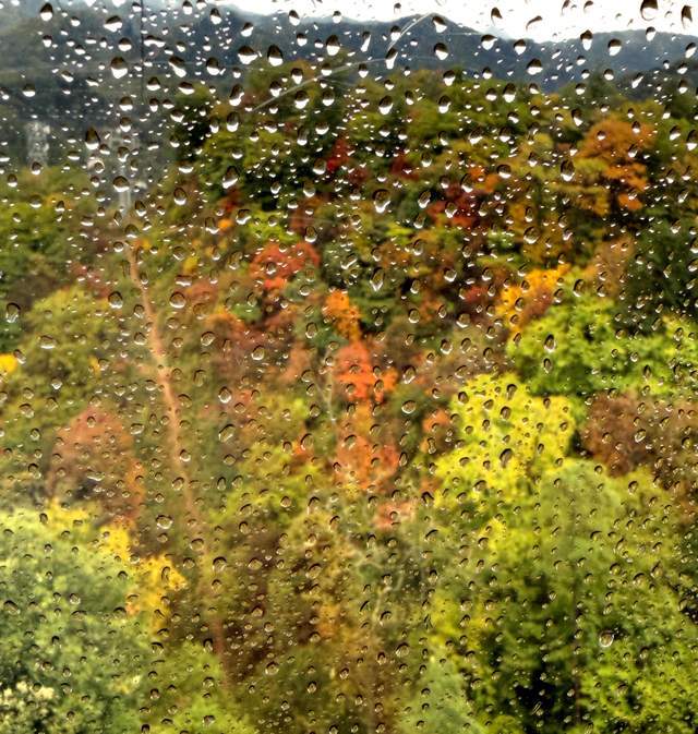 秋日美景中国红叶第一山在四川它是国家5A景区眼下美到封神！(图6)