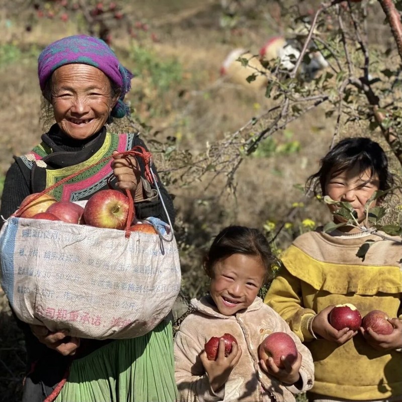 死磕盐源苹果糖心率：他自建供应链年卖百万斤(图2)