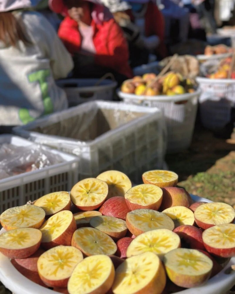 死磕盐源苹果糖心率：他自建供应链年卖百万斤(图3)