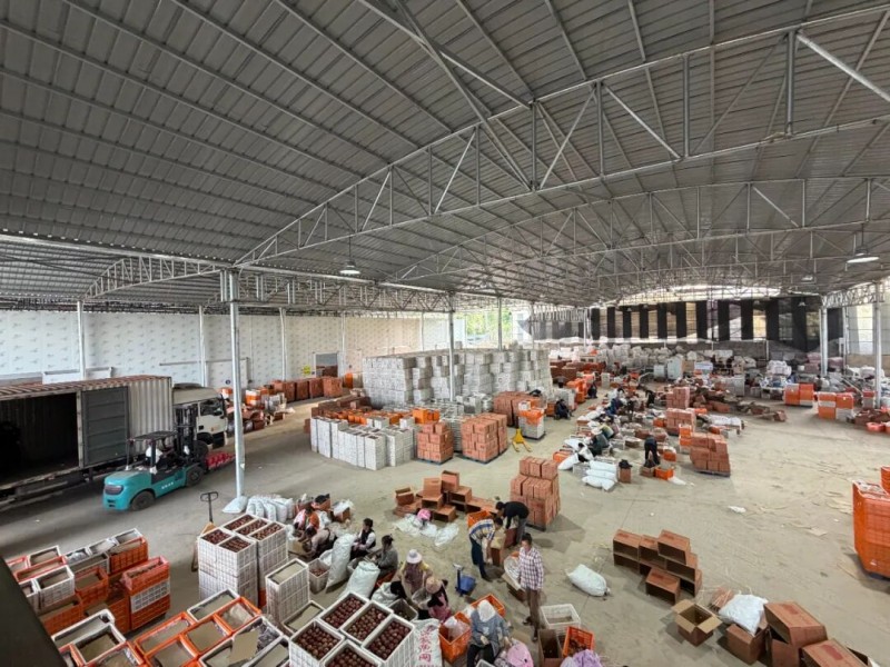 死磕盐源苹果糖心率：他自建供应链年卖百万斤(图4)