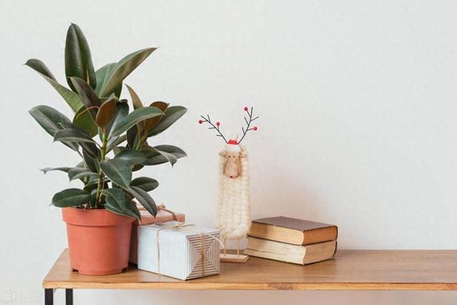 50岁后进入养生阶段戒掉最伤身的5件事以免后悔(图3)