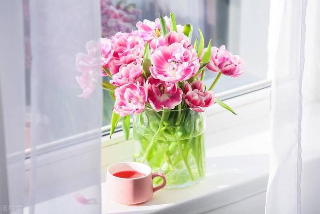 50岁后进入养生阶段戒掉最伤身的5件事以免后悔(图5)