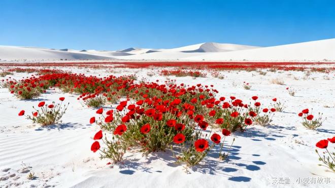 幽默故事、搞笑段子、经典笑线期）