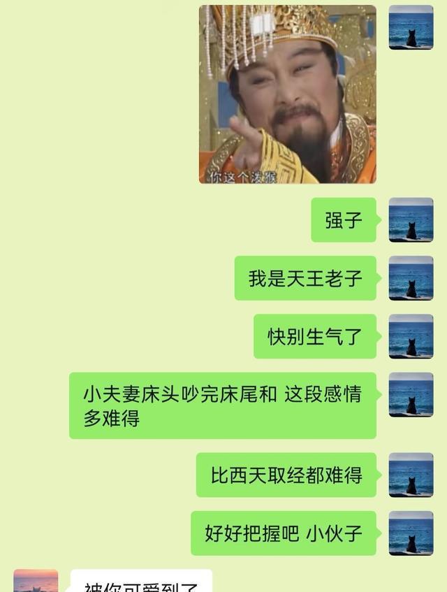 情侣之间的有梗聊天记录真的很有趣。(图7)