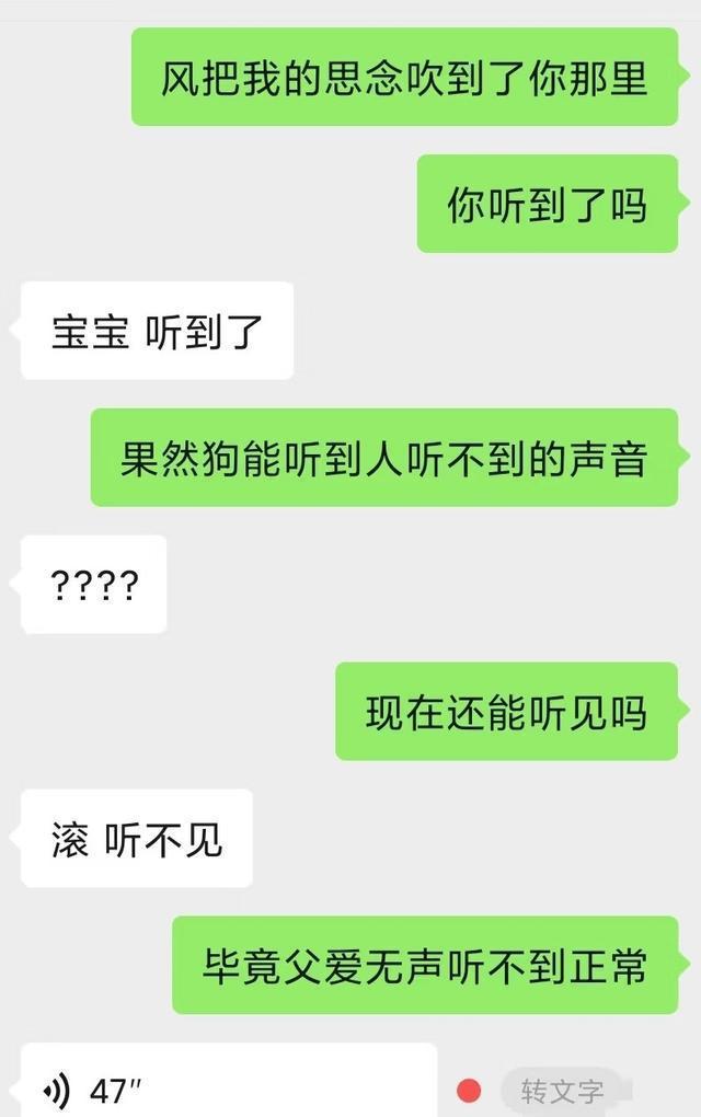 情侣之间的有梗聊天记录真的很有趣。(图5)