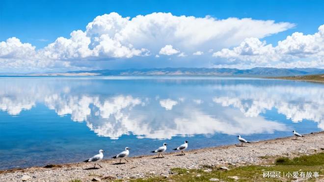 九游娱乐NineGame：幽默故事、搞笑段子、经典笑线期）(图2)