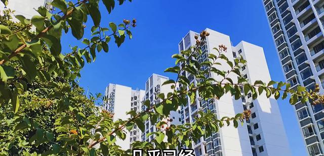 东南第一大城市房价“盘崩”新楼盘空空人走光了(图3)