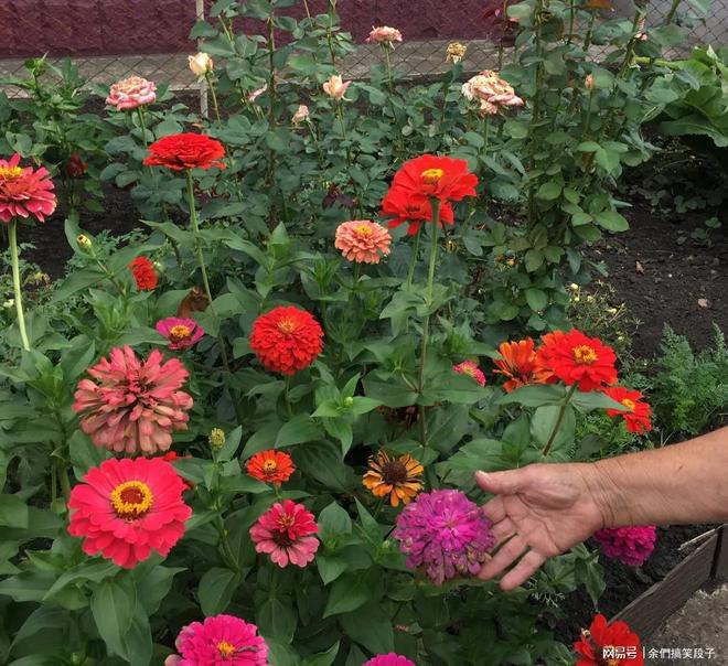 九游娱乐NineGame：乌克兰居民：母亲在战争期间去世俄罗斯人夺走了我们逝去的亲人(图11)