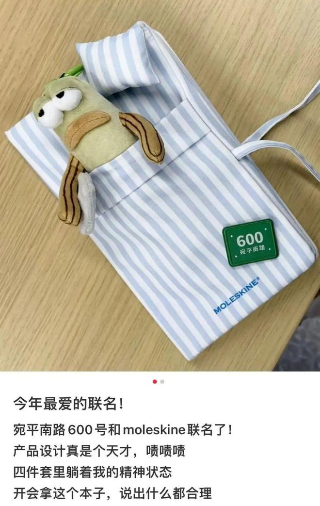 九游娱乐NineGame：280元一个“病友本”宛平南路600号新周边太癫了(图6)