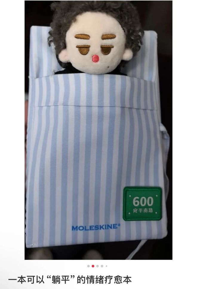 九游娱乐NineGame：280元一个“病友本”宛平南路600号新周边太癫了(图17)