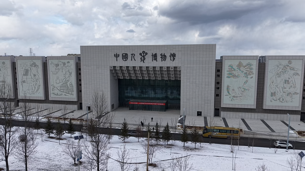 踏雪长白之行溯源道地人参御君方以脚步丈量每一份健康承诺