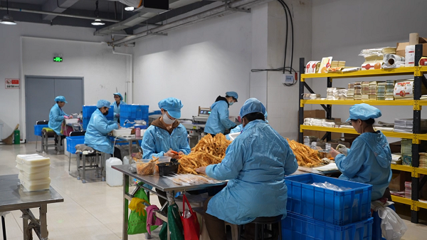 踏雪长白之行溯源道地人参御君方以脚步丈量每一份健康承诺(图4)