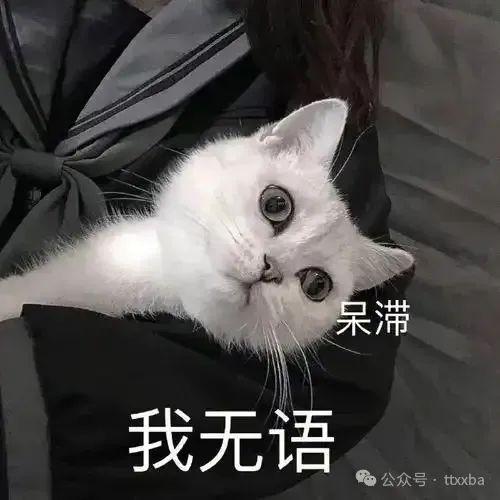 爆笑经典学校冷笑话搞笑糗事经典笑话