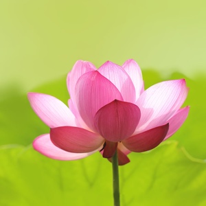 有谁知道老外中文考试一大堆“意思”的那个笑话(图3)