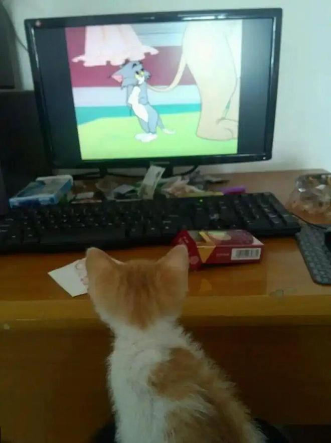 爆笑吃饭搞笑经典冷笑话小明和朋友去饭馆吃饭他们点了两个菜一个汤吃到第一个菜时！