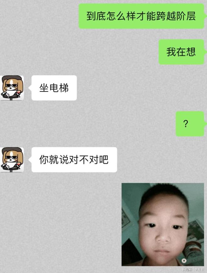 九游娱乐NineGame：笑到打鸣！9个扎心又搞笑的日常段子看完心情直接起飞(图6)