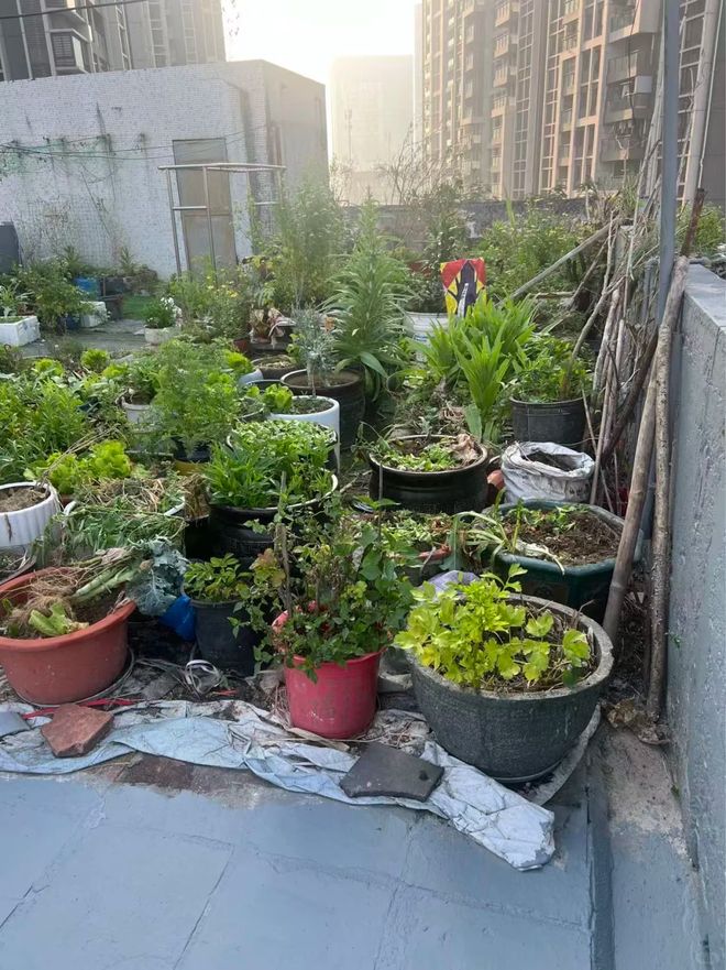 九游娱乐NineGame：价格便宜的“顶楼”到底能不能买？值不值得买？听过来人的心里话(图4)