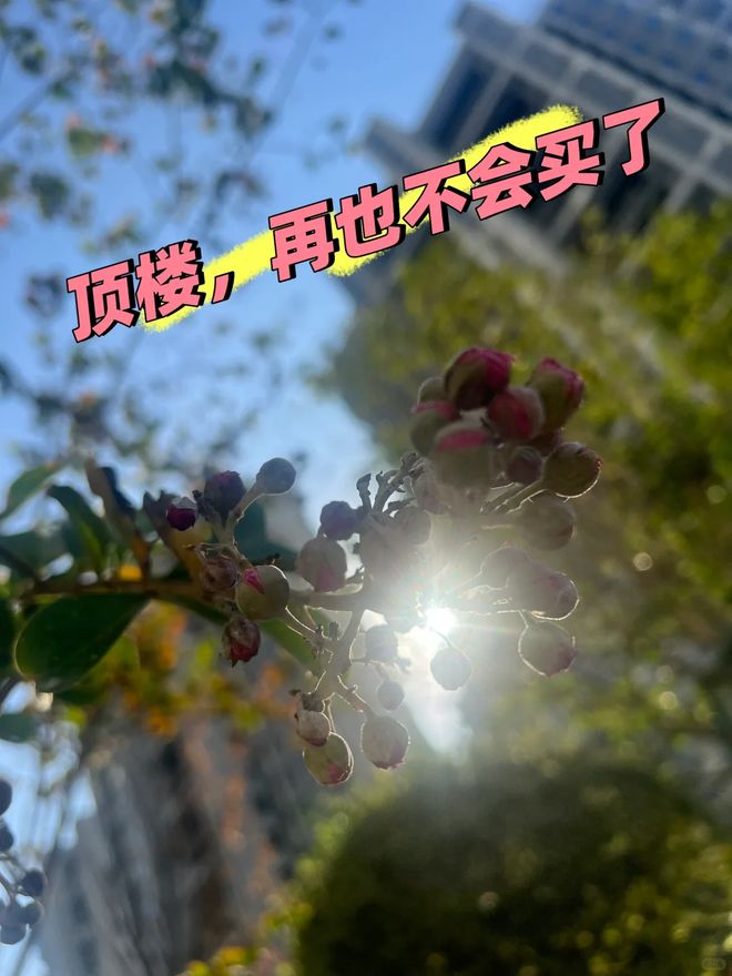 九游娱乐NineGame：价格便宜的“顶楼”到底能不能买？值不值得买？听过来人的心里话(图18)