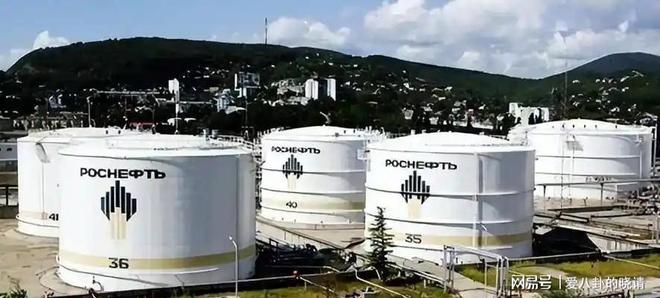 俄罗斯石油对印度坐地起价30天就把印度打回了原形(图5)