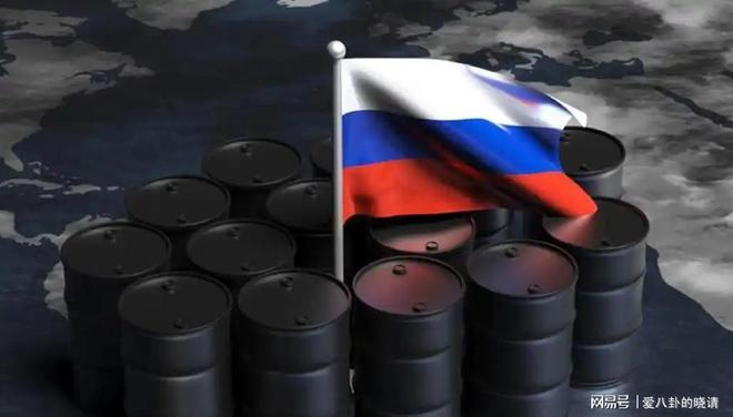 俄罗斯石油对印度坐地起价30天就把印度打回了原形(图2)