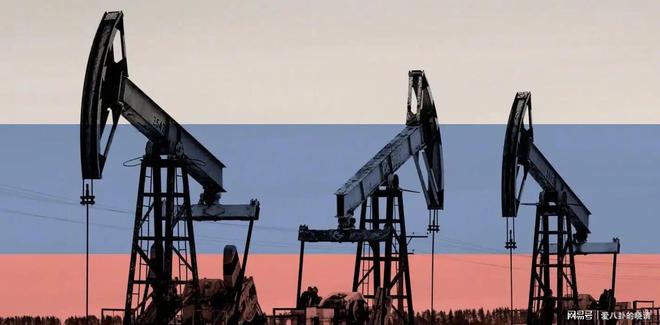 俄罗斯石油对印度坐地起价30天就把印度打回了原形(图7)