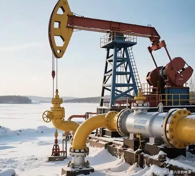 俄罗斯石油对印度坐地起价30天就把印度打回了原形(图10)