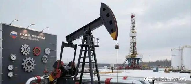 俄罗斯石油对印度坐地起价30天就把印度打回了原形(图12)