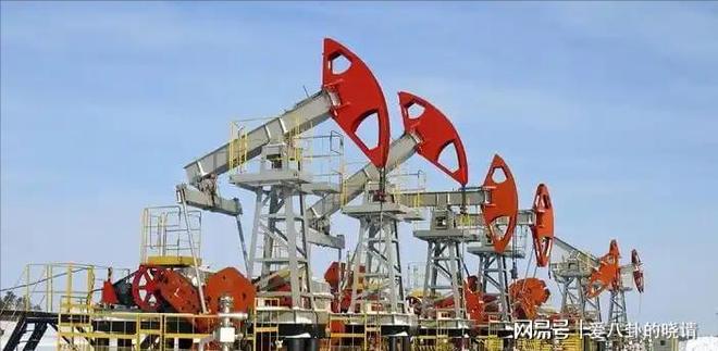 俄罗斯石油对印度坐地起价30天就把印度打回了原形(图16)