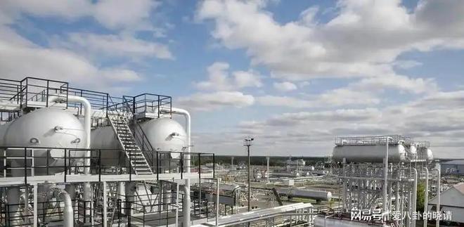 俄罗斯石油对印度坐地起价30天就把印度打回了原形(图19)