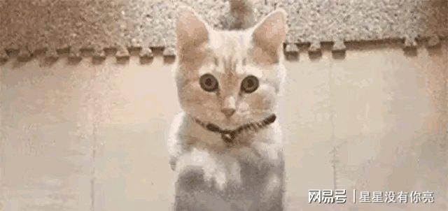 深夜破防！张雪峰身后事尘埃落定接班人一句承诺看哭全网(图12)