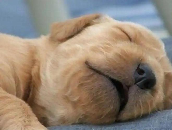 九游娱乐：爆笑经典宝宝糗事冷笑话昨天一个小女孩问阿姨我长得漂亮吗？我看了一眼回答她！