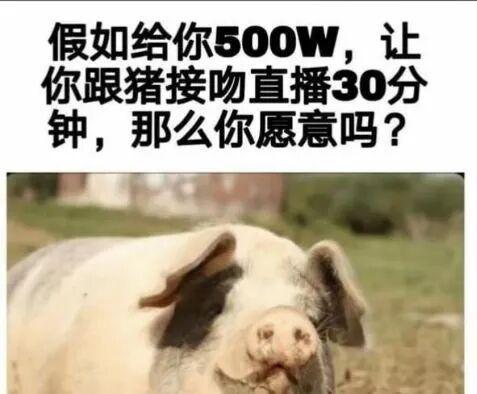 九游娱乐NineGame：爆笑经典嫁人糗事冷笑话姐姐三十多岁了还没嫁出去今天她刚下班妈妈又唠叨个不停姐姐被说烦了就顶嘴说！(图1)