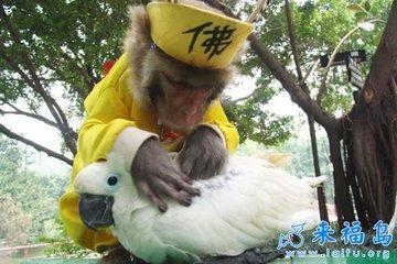 九游娱乐：笑死你不偿命的五则笑话段子