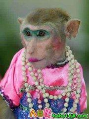 九游娱乐：笑死你不偿命的五则笑话段子(图4)